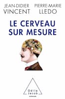 Le cerveau sur mesure